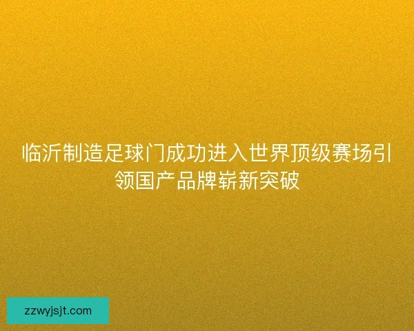 临沂制造足球门成功进入世界顶级赛场引领国产品牌崭新突破