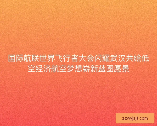 国际航联世界飞行者大会闪耀武汉共绘低空经济航空梦想崭新蓝图愿景